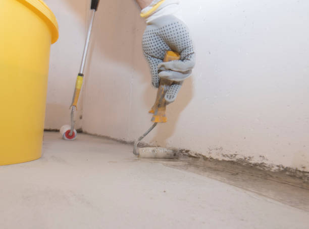 Best Fumigation Services  in Eslon, CA